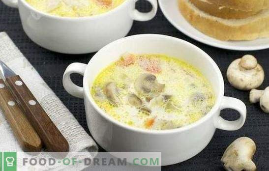 Vištienos grybų sriuba yra puikus pirmosios patiekalas. Paprasti vištienos sriuba su grybais receptai: švieži, džiovinti ir konservuoti