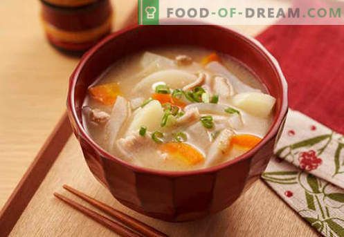 Sojos sriuba - įrodyta receptai. Kaip tinkamai ir skaniai virti sojos sriuba.