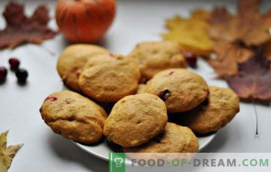 Paprasti skanūs sausainiai kefyre - namų kepimo tradicija. Paprastų kefyro slapukų receptai: avižiniai dribsniai, cinamonas, šokoladas, riešutai, aguonų sėklos ir kt.