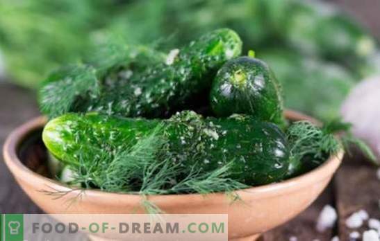 Quick recipe for salted cucumbers: be ready for the evening! The best recipes for quick salted cucumbers with a crunch