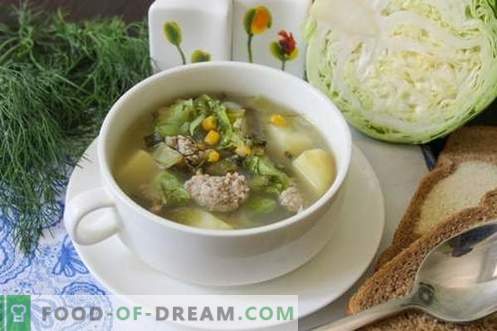 Sopa verde de legumes jovens - prato de verão para todos os dias
