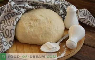 Pastry dough for mayonnaise with and without yeast. Simple dough recipes for mayonnaise pies