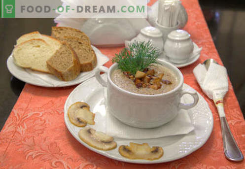 Šampinjono tyrės sriuba - įrodyta receptai. Kaip tinkamai ir skaniai virti šampinjonų sriubos.