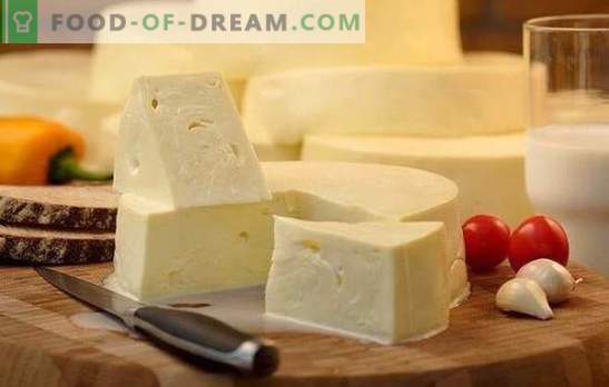 Kaip greitai virti suluguni namuose: jaunas baltasis sūris. Švelnus suluguni sūrio gaminimas namuose