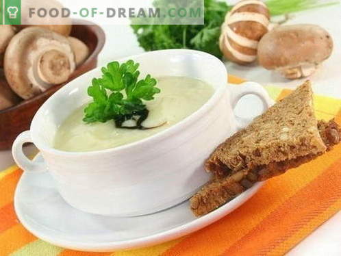 Grybų sriuba - geriausi receptai. Kaip tinkamai ir skaniai virti grybų sriuba.