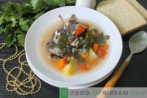 Šamų sriuba - kaip tinkamai paruošti ir skaniai (receptas su nuotraukomis)