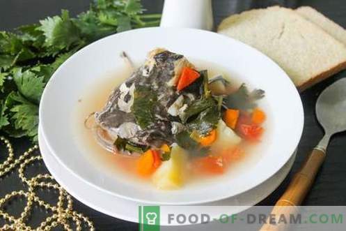 Šamų sriuba - kaip tinkamai paruošti ir skaniai (receptas su nuotraukomis)