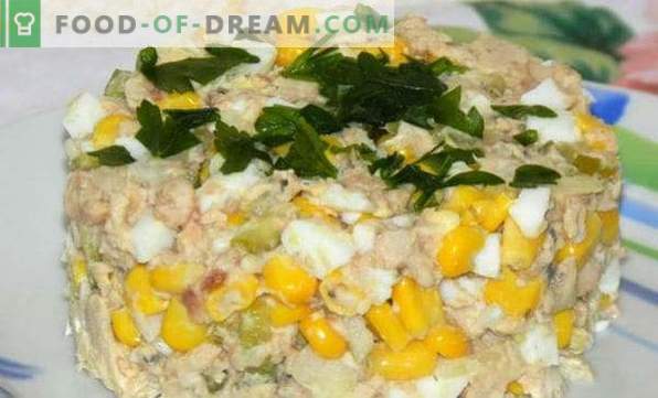 Deliciosas recetas para ensaladas de pescado enlatado, con queso derretido, Suave, Girasol, Mimosa