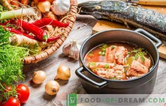 Raudonosios žuvies sriuba - puikus skonis ir didžiausia nauda. Geriausių raudonųjų žuvų sriubos receptų rinkinys iš soros, pomidorų, raudonųjų ikrų