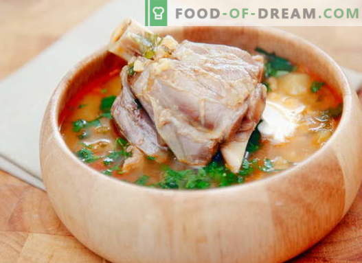 Avienos sriuba - geriausi receptai. Kaip tinkamai ir skaniai virti ėrienos sriuba.