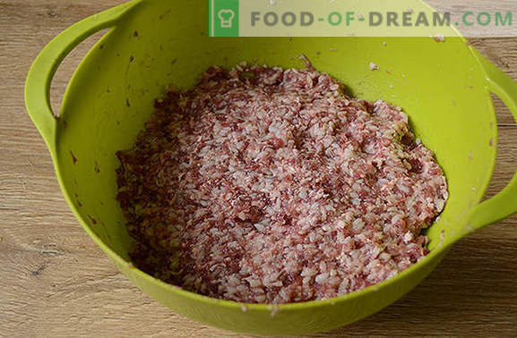 Mėsos taukai su ryžiais padaže: vaikai mėgsta, suaugusieji mėgsta! Autoriaus žingsnis po žingsnio foto receptas mėsos su ryžiais lėtoje viryklėje