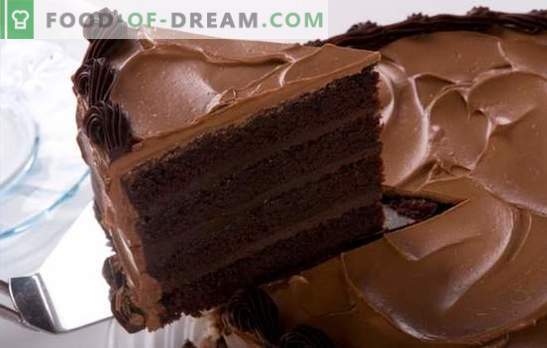 Šokoladinis pyragas su kakava - saldaus danties džiaugsmas! Geriausias receptas šokolado pyragui su kakava
