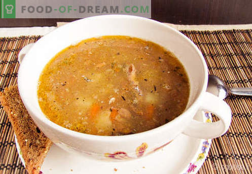Saury Soup - patvirtinti receptai. Kaip tinkamai ir skaniai virti saurų sriuba.