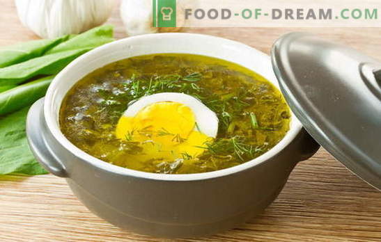 Zuringsoep - last van de zomerstemming! Recepten voor oxalische soep met eieren, gehaktballen, rijst, kip, stoofpot