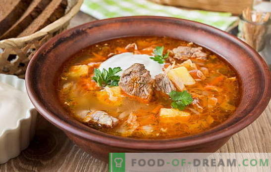 Šviežia kopūstų sriuba - 10 geriausių receptų. Kopūstų sriubos variantai su jautiena, vištiena, kiauliena, rūkyta mėsa, pupelės