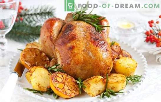 Bulvė Turkija: universalus maistas šventiniam stalui ir šeimos vakarienei. Būdai kalakutiena su bulvėmis