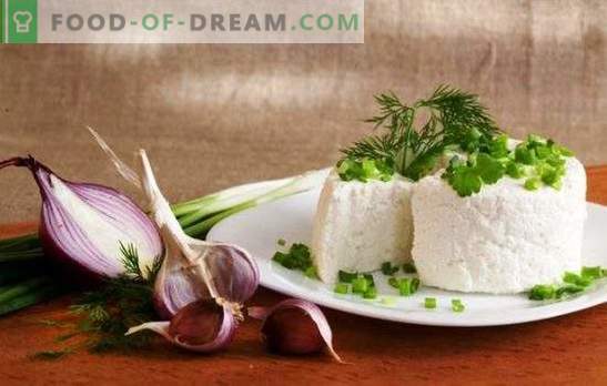 Ožkos pieno sūris yra sveikas produktas. Kokie patiekalai gali būti ruošiami naudojant ožkos sūrį?