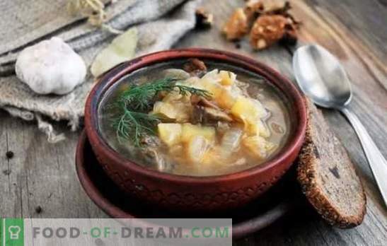 Pagalvokite savo namus su skaniais šviežiais kopūstų sriuba su grybais. Kvapiųjų kopūstų sriuba su grybais receptai