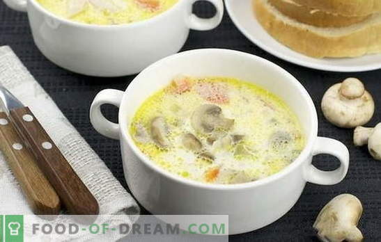 Grybų sriuba: klasika ir originalumas. Lengvi grietinėlės grybų sriuba receptai verslo ir namų vakarienei