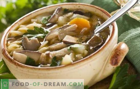Grybų sriuba su grybais - labiausiai mėgstama! Grybų sriubos receptai su grietinėlėmis: grietinėlė, makaronai, miežiai, šoninė