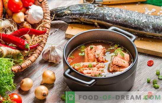 Žuvies sriubos virimas yra subtilus dalykas! Kaip virti žuvų sriubą iš upės ar raudonos žuvies, miežių, soros, konservų, krevečių, pomidorų
