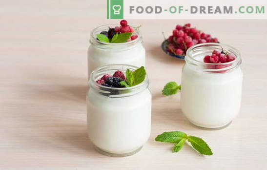 Kaip gaminti jogurtą namuose: technologiją. Jogurto receptai namuose: jogurto virimo aparate, termose, puode