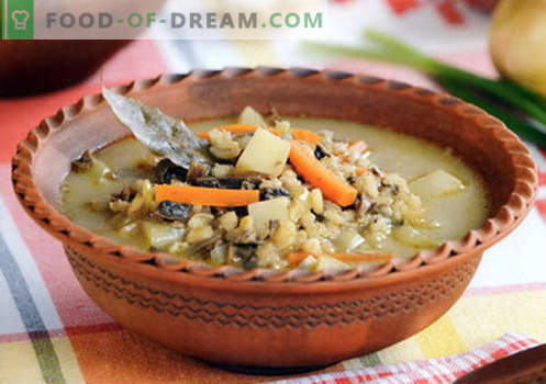 Miežių sriuba - įrodyta receptai. Kaip tinkamai ir skaniai virti sriuba su miežiais.