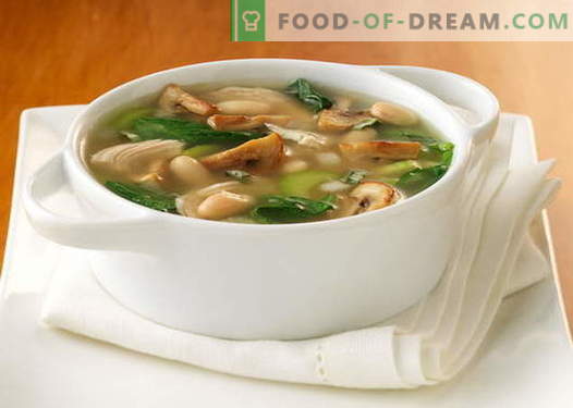 Grybų sriuba, pagaminta iš džiovintų, šviežių, šaldytų grybų ir pievagrybių - geriausi receptai. Kaip tinkamai ir skaniai virti grybų sriuba su sūriu, grietinėlės ir lėtos viryklės.