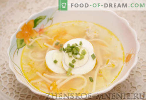 Vištienos sriuba - receptas su nuotraukomis ir aprašymas