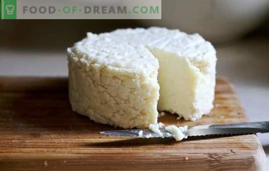 „Ricotta“, „Philadelphia“, „Mozzarella“ ir kiti naminiai sūriai namuose - pelningi! Sūrio sūrio receptai
