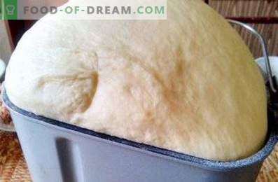 Tešla baltymams duonos formuotojoje